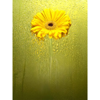 “Gotas que despiertan”